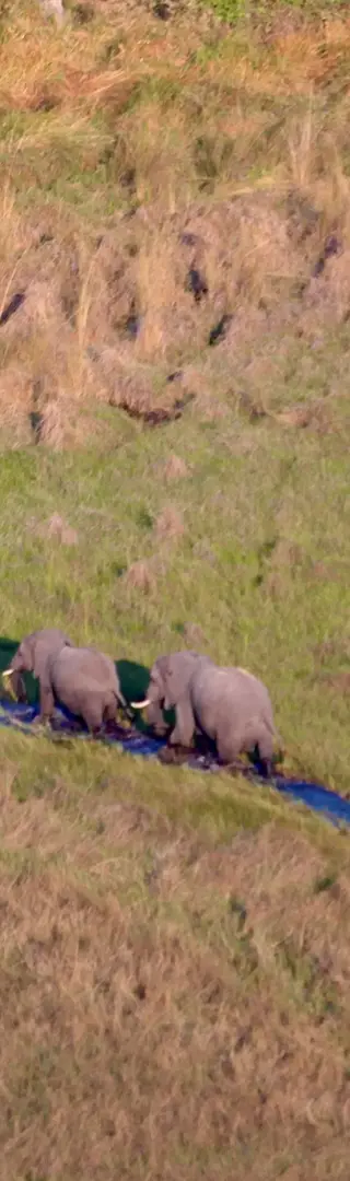 Absolut freie Sicht!